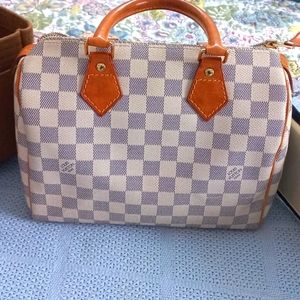 LV Speedy 25 with insert and bag protector
